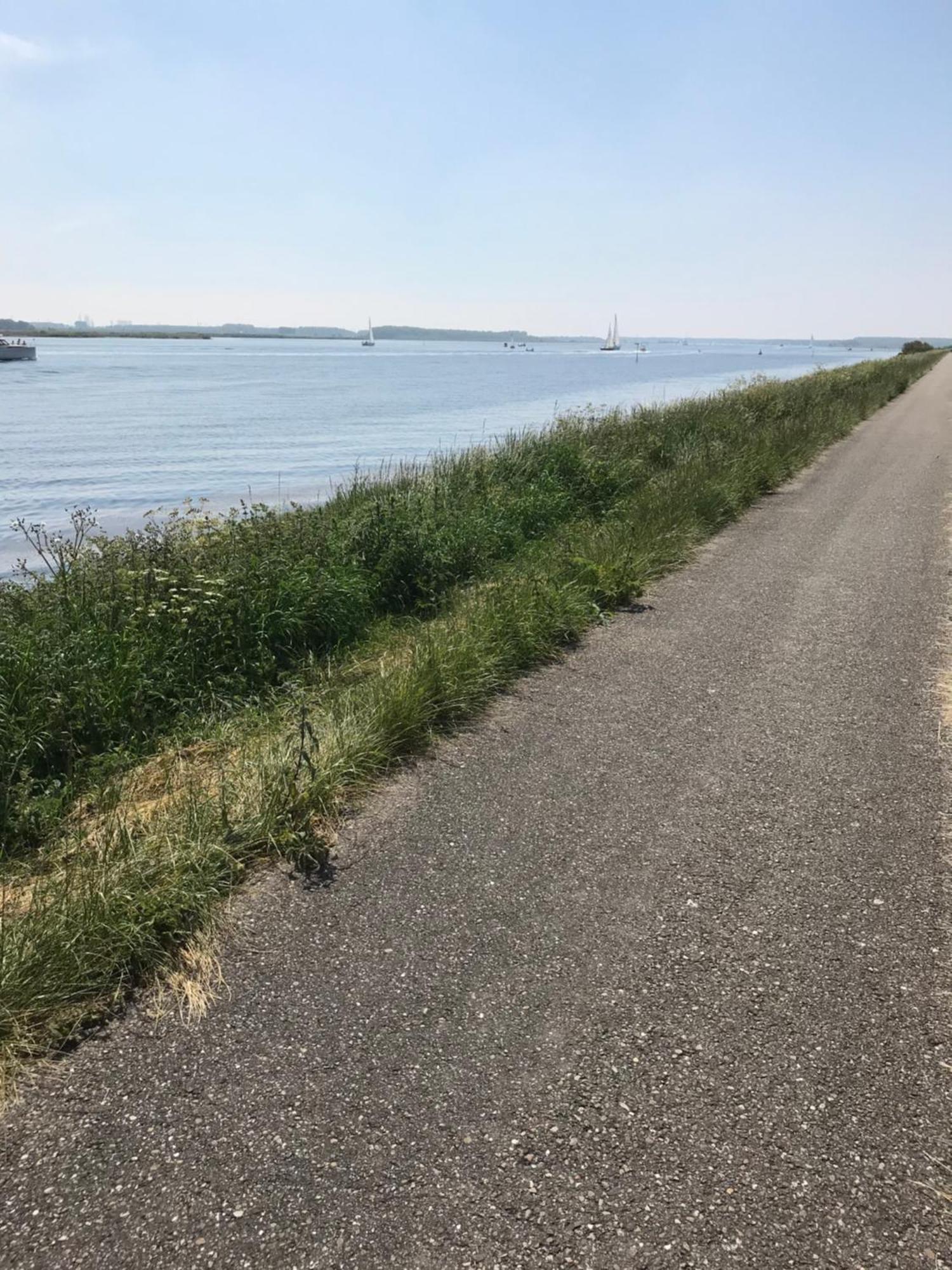 Uniek Gastenverblijf Kamperland Villa Buitenkant foto